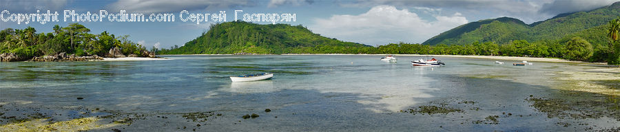 Beach, Coast, Outdoors, Sea, Water, River, Promontory