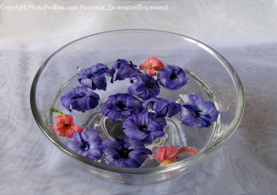 Bowl, Flower, Flower Arrangement, Flower Bouquet, Dessert, Food