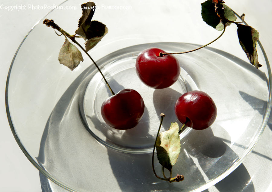 Apple, Fruit, Cherry, Dessert, Food, Bird, Blackbird