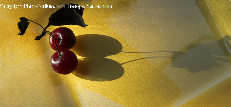Fruit, Grapes, Cherry, Silhouette, Asphalt, Tarmac, Accessories