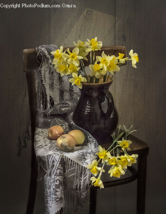Blossom, Daffodil, Flora, Flower, Plant, Potted Plant, Flower Arrangement