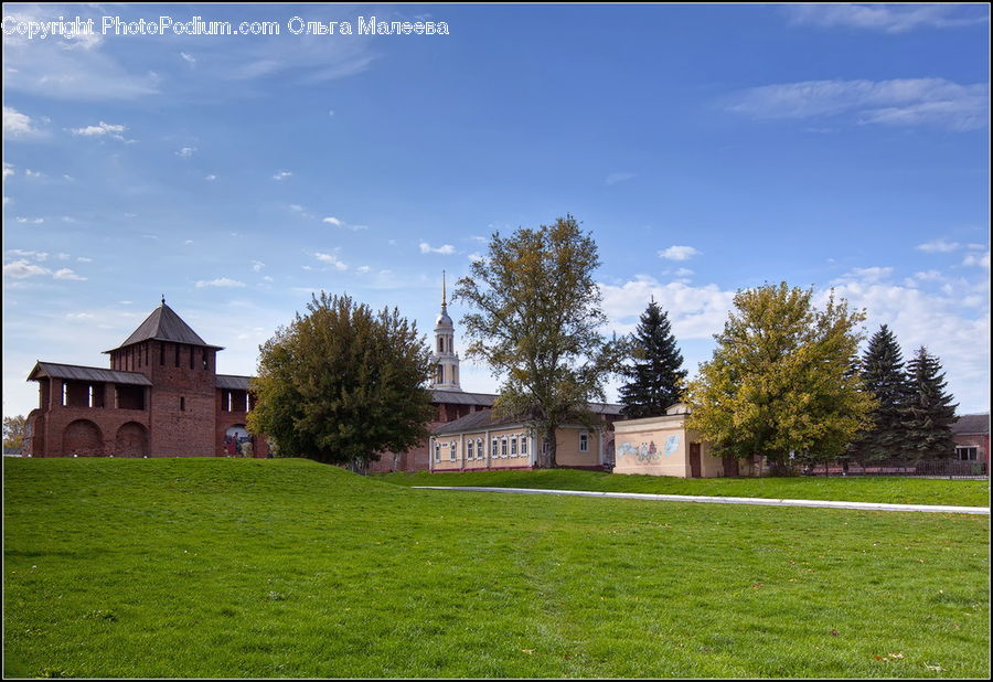 Field, Grass, Lawn, Grassland, Plant, Land, Outdoors
