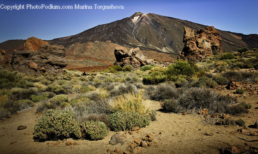 Desert, Outdoors, Wilderness, Crest, Mountain, Peak, Plant