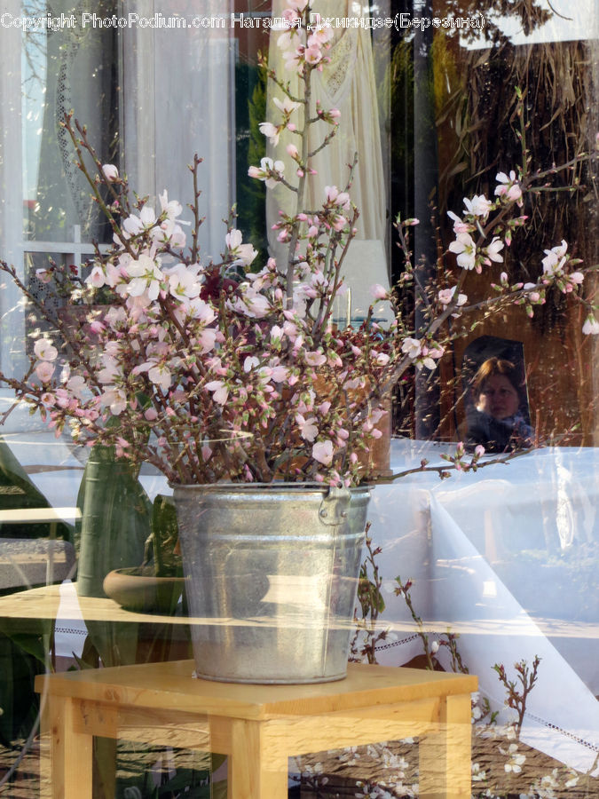 Jar, Porcelain, Vase, Floral Design, Flower, Flower Arrangement, Flower Bouquet