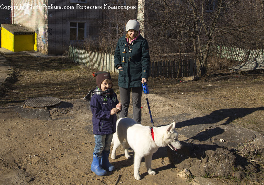 Human, People, Person, Animal, Canine, Dog, Husky