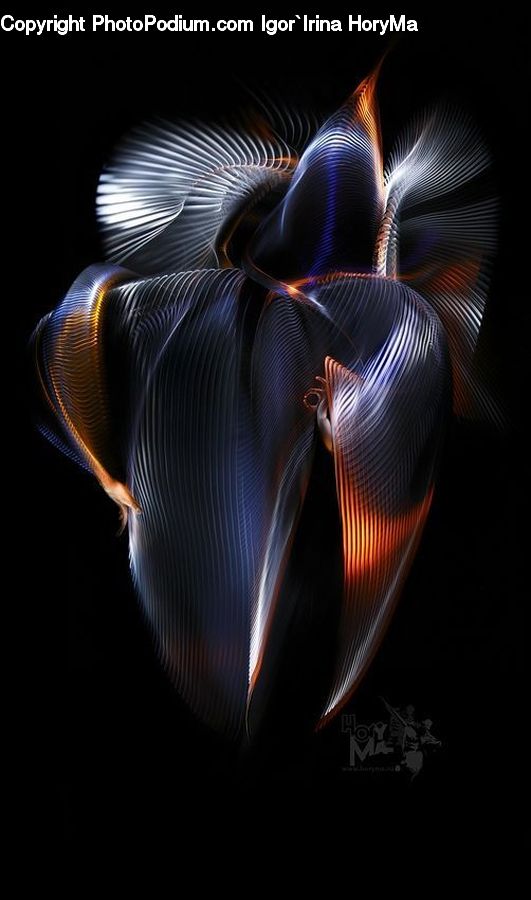 Fractal