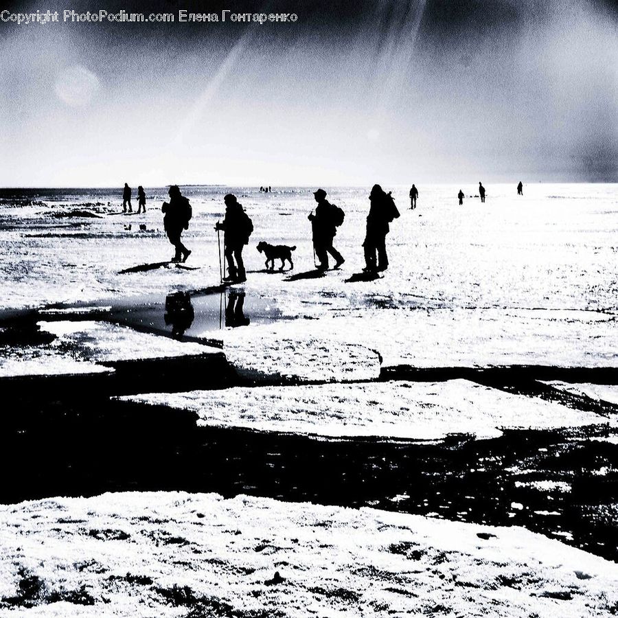 Silhouette, Outdoors, Sand, Soil, Ocean, Sea, Water