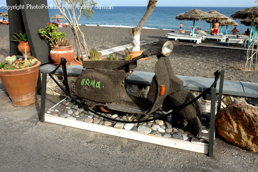 Plant, Potted Plant, Pot, Pottery, Dock, Landing, Pier