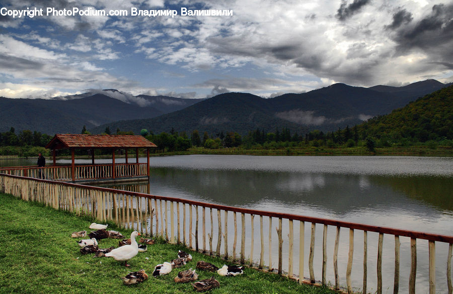 Lake, Outdoors, Water, Hotel, Resort, Landscape, Nature