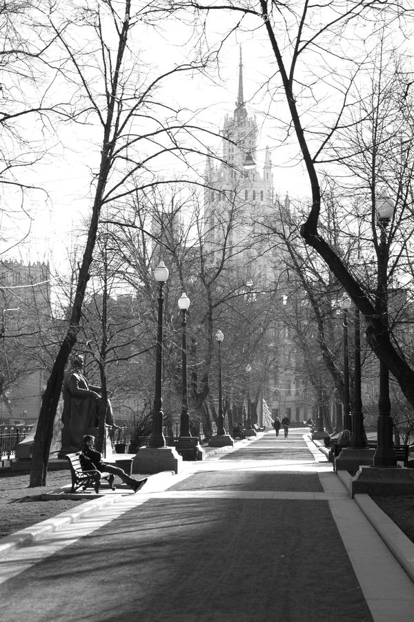 Boardwalk, Path, Pavement, Sidewalk, Walkway, Bench, Road