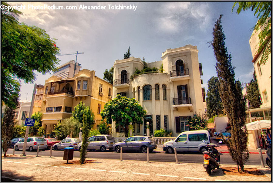 Automobile, Car, Vehicle, Plant, Potted Plant, Architecture, Downtown