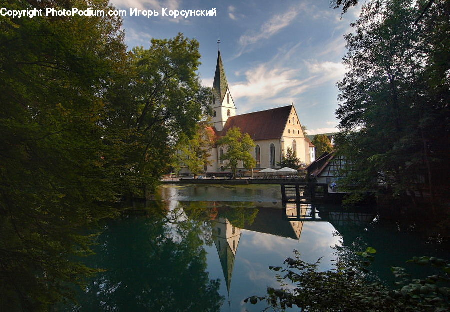 Castle, Ditch, Fort, Moat, Plant, Potted Plant, Building