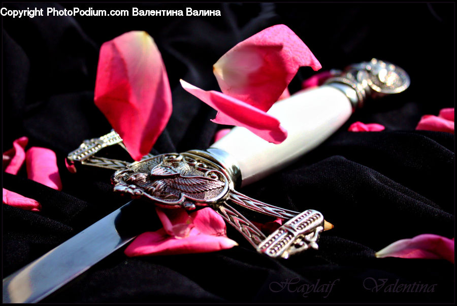 Bling, Blossom, Flora, Flower, Petal, Plant, Cinema