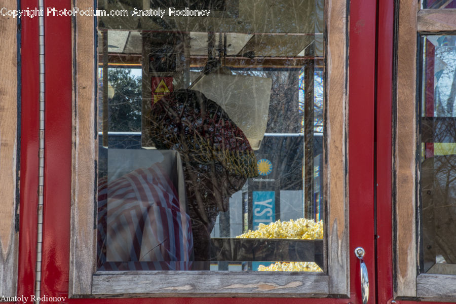 Plant, Potted Plant, Boutique, Shop, Window Display, City, Downtown