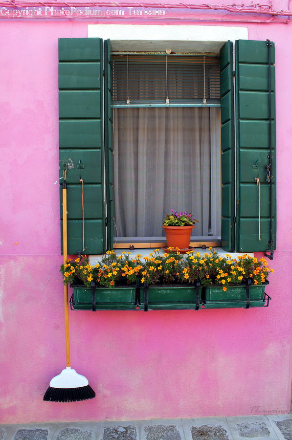 Plant, Potted Plant, Pot, Pottery, Balcony, Bench, Blossom
