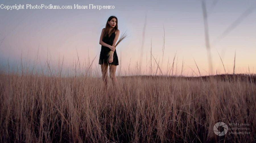 Human, People, Person, Field, Grass, Grassland, Plant