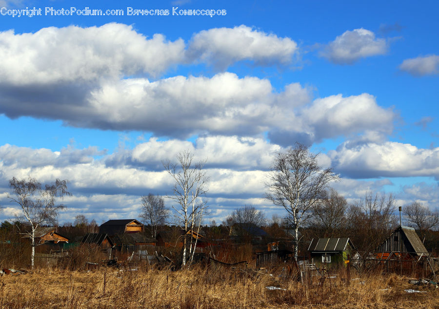 Field, Grass, Grassland, Land, Outdoors, Plant, Azure Sky