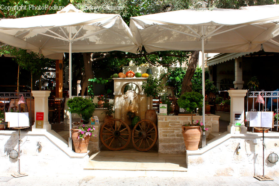 Plant, Potted Plant, Patio, Gazebo, Pot, Pottery, Carriage