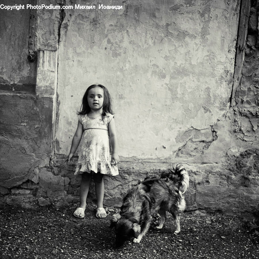 Human, People, Person, Animal, Canine, Dog, Mammal