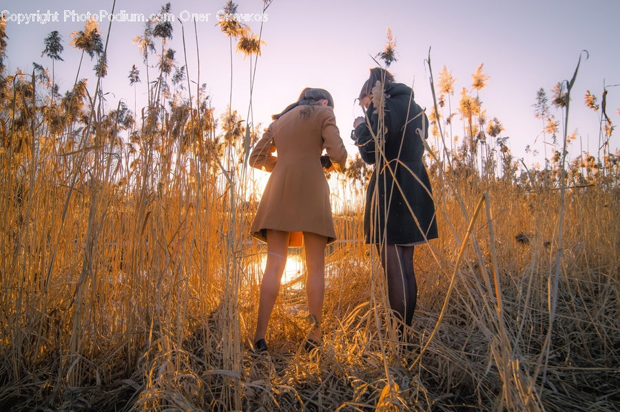 Field, Grass, Grassland, Plant, Female, Person, Blossom