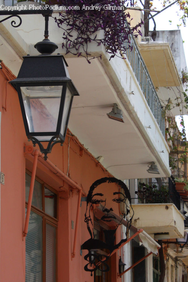People, Person, Human, Plant, Potted Plant, Lamp Post, Pole