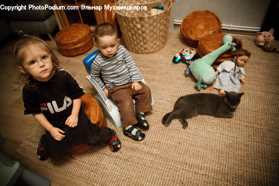 People, Person, Human, Teddy Bear, Toy, Animal, Cat