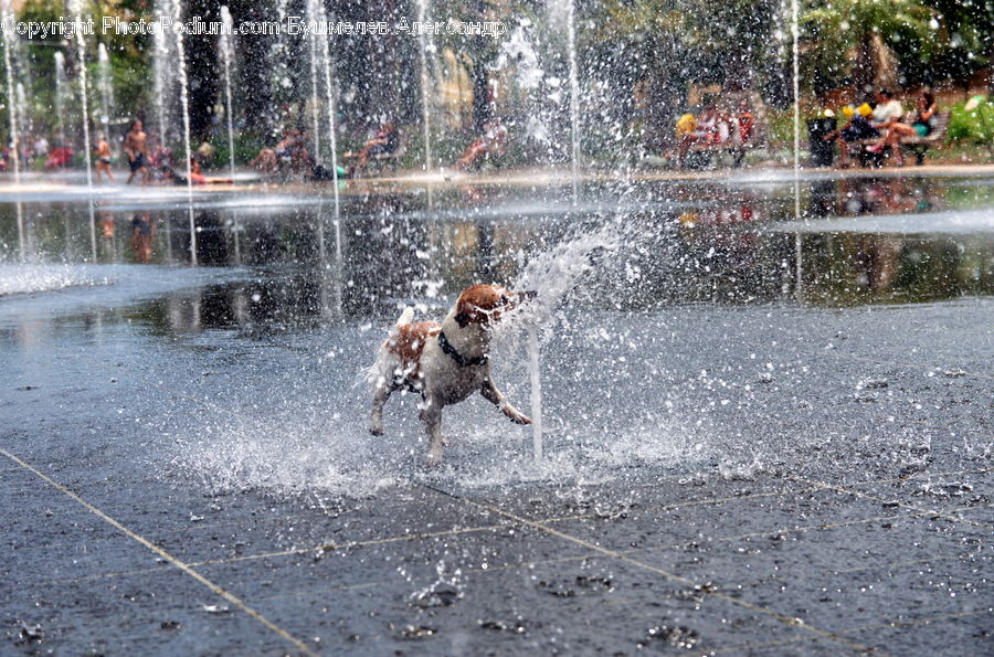 Fountain, Water, Food