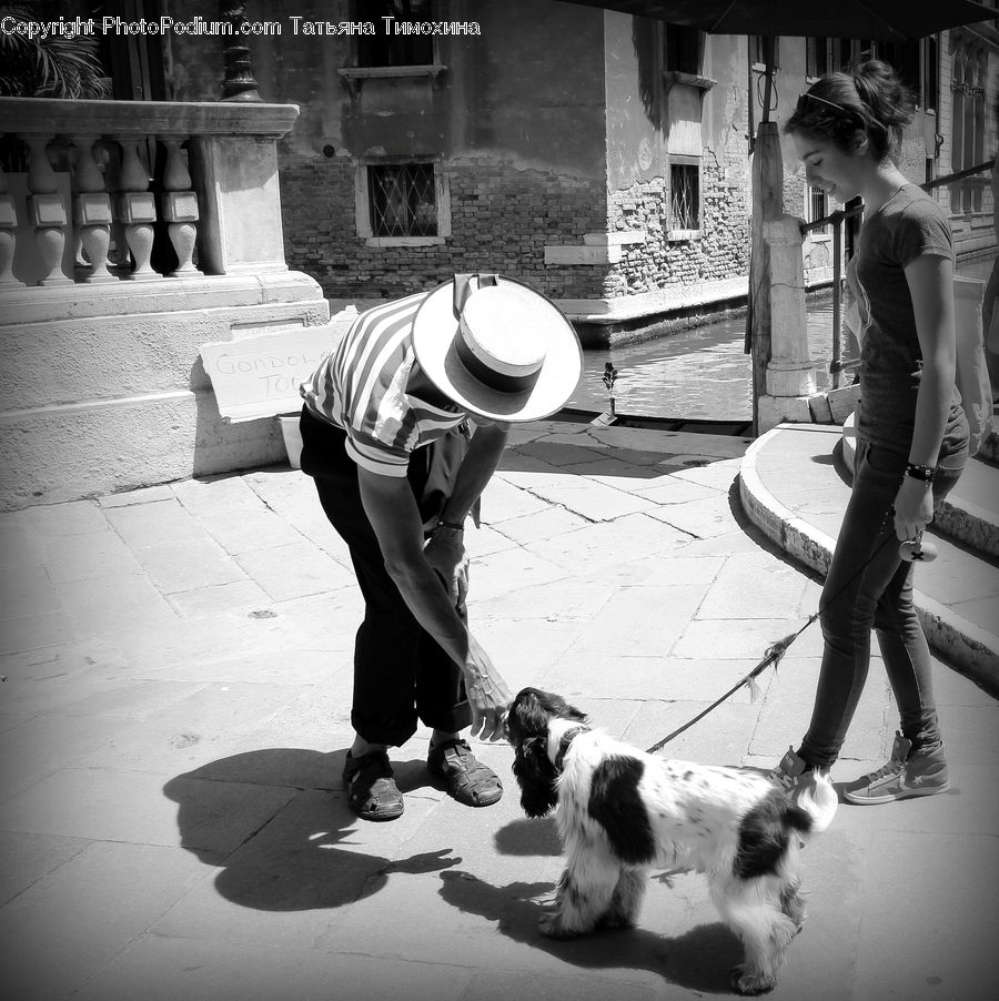 People, Person, Human, Animal, Canine, Collie, Dog