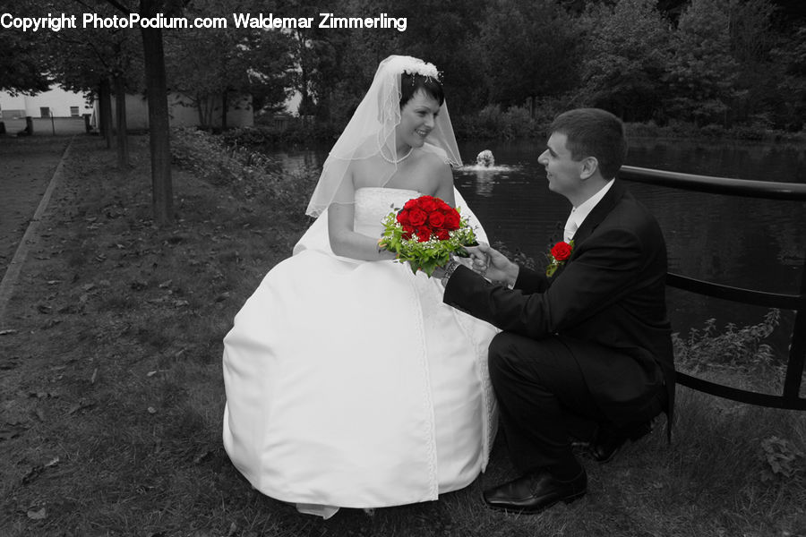 Human, People, Person, Flower, Flower Arrangement, Flower Bouquet, Bride