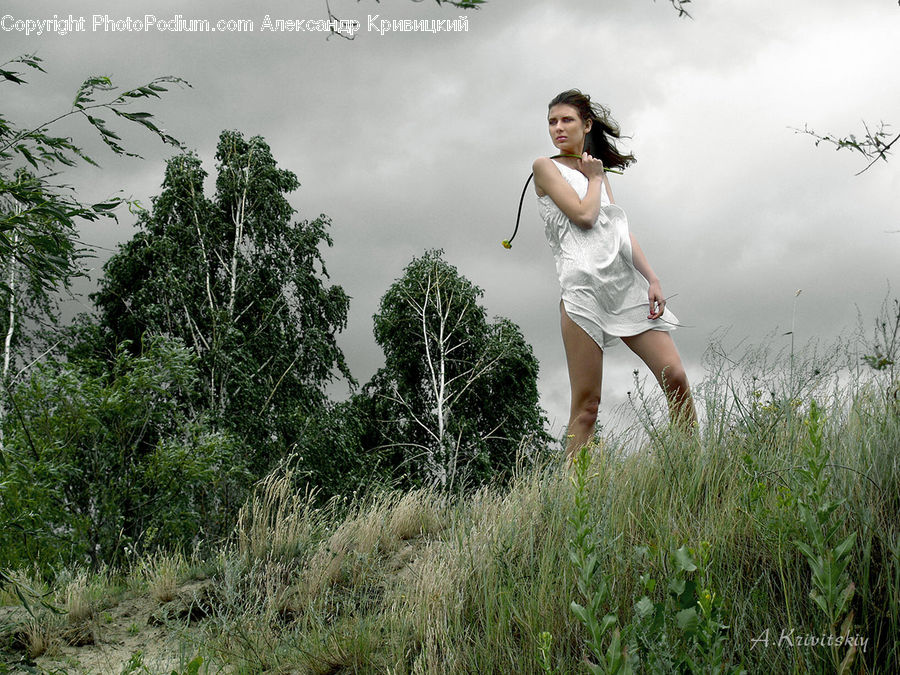 People, Person, Human, Plant, Tree, Forest, Jungle
