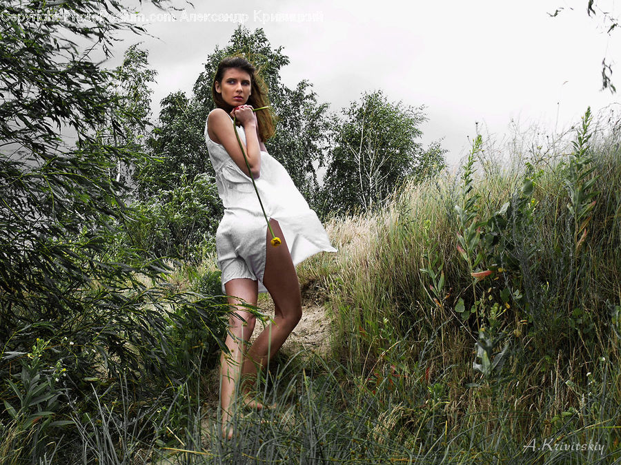 People, Person, Human, Field, Grass, Grassland, Plant