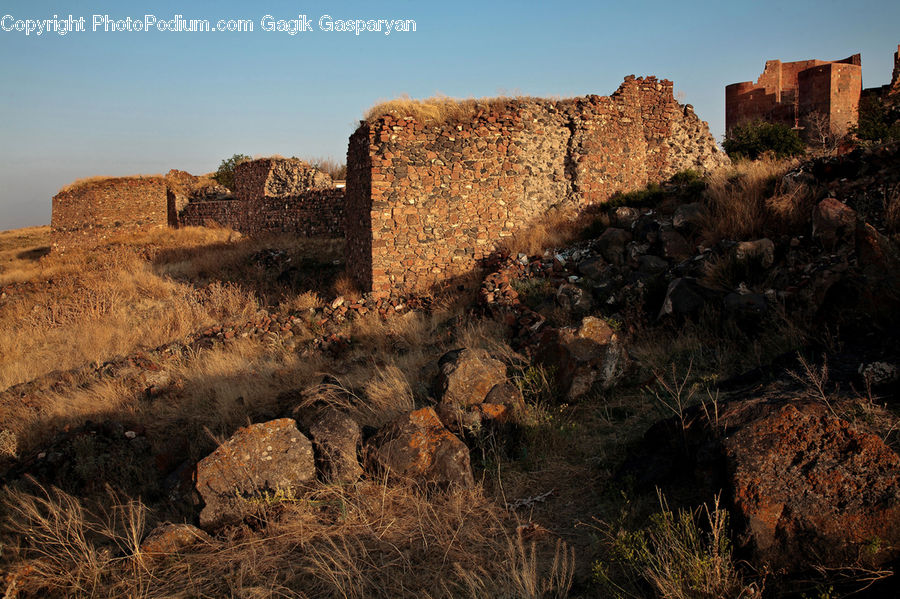 Castle, Fort, Bunker, Ruins, Bush, Plant, Vegetation