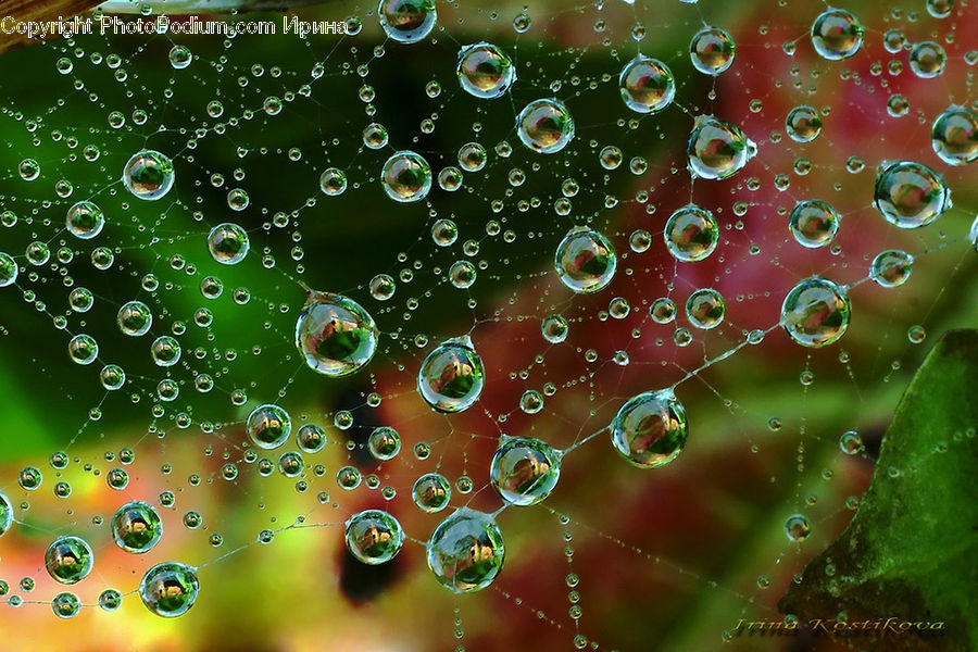 Droplet, Food