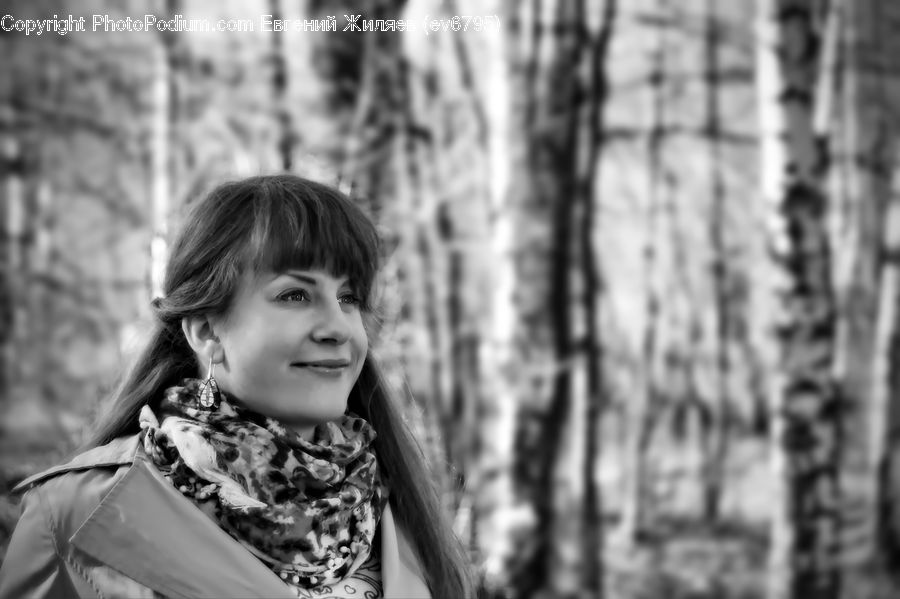 Human, People, Person, Birch, Tree, Wood, Portrait