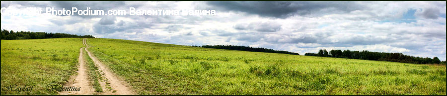 Dirt Road, Gravel, Road, Field, Grass, Grassland, Land
