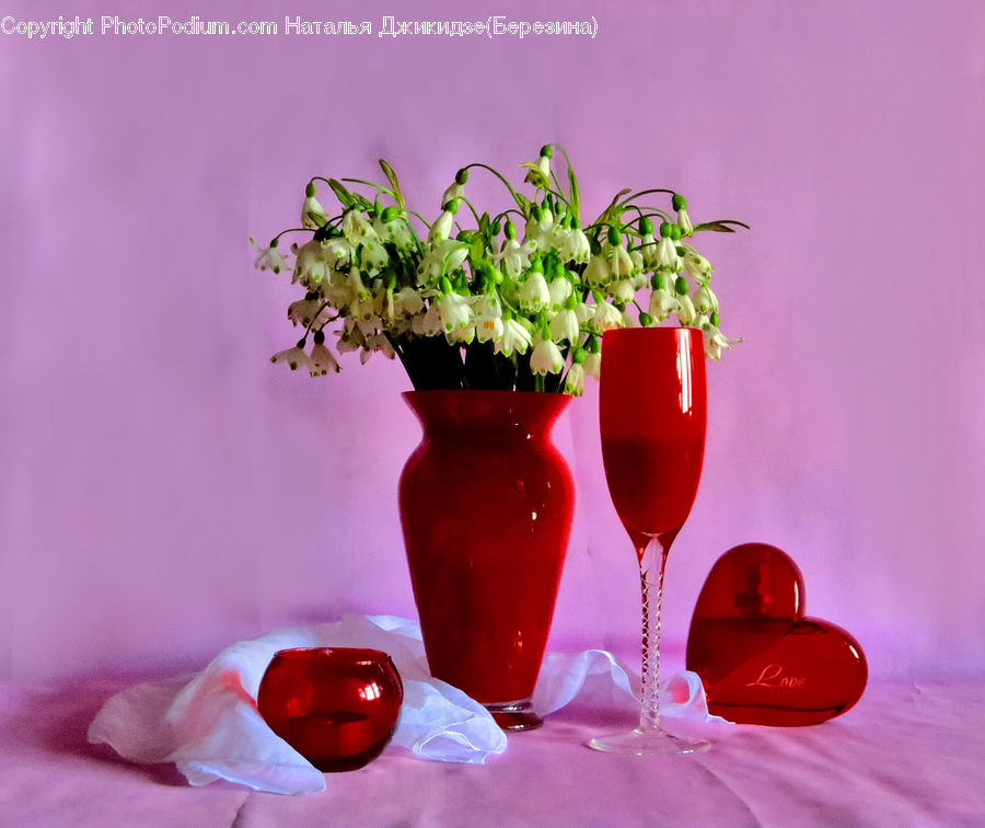Plant, Potted Plant, Alcohol, Beverage, Drink, Pot, Pottery