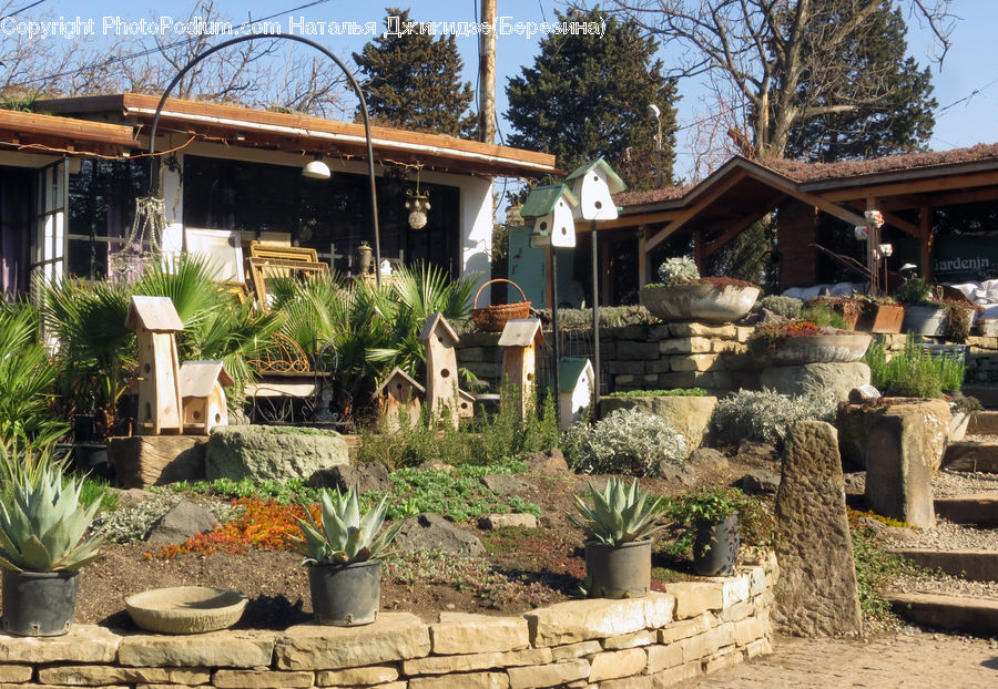 Aloe, Plant, Bird Feeder, Building, Cottage, Housing, Tomb