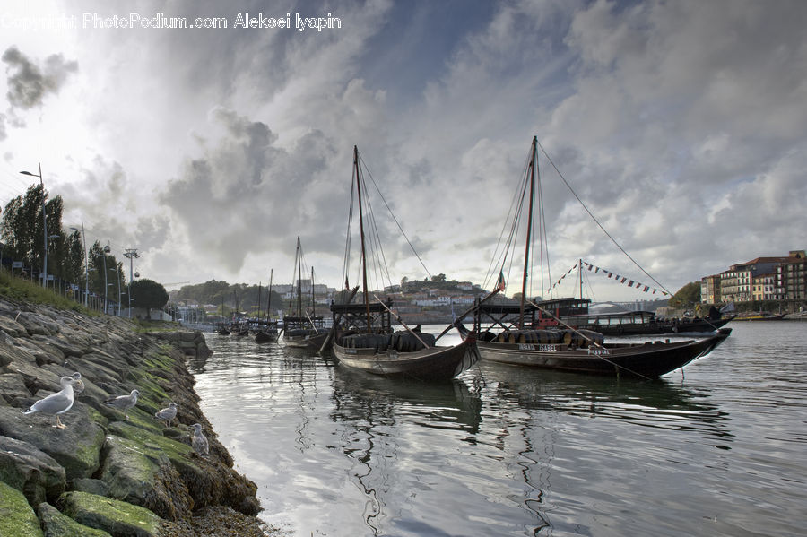 Boat, Yacht, Watercraft, Harbor, Port, Waterfront, Dock