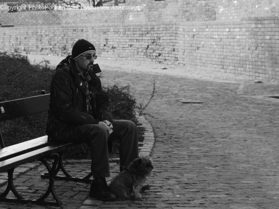People, Person, Human, Bench, Animal, Canine, Dog
