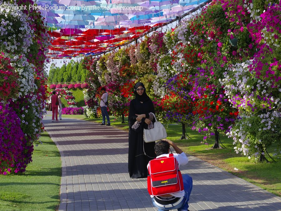 People, Person, Human, Garden, Blossom, Flora, Flower