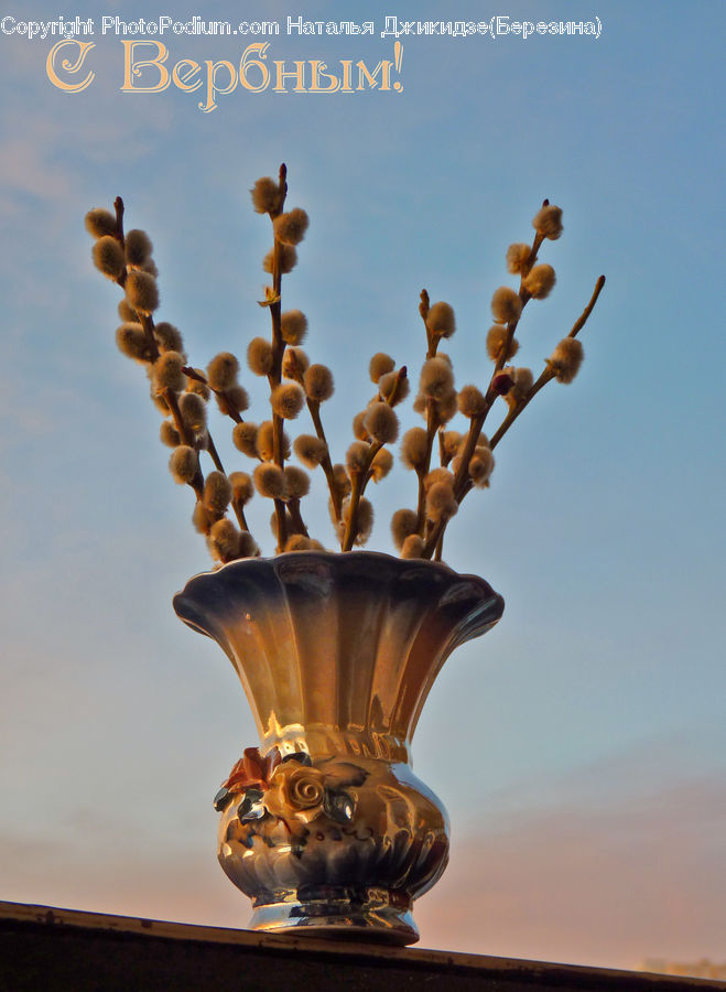 Light Fixture, Glass, Goblet, Pot, Pottery, Anubis