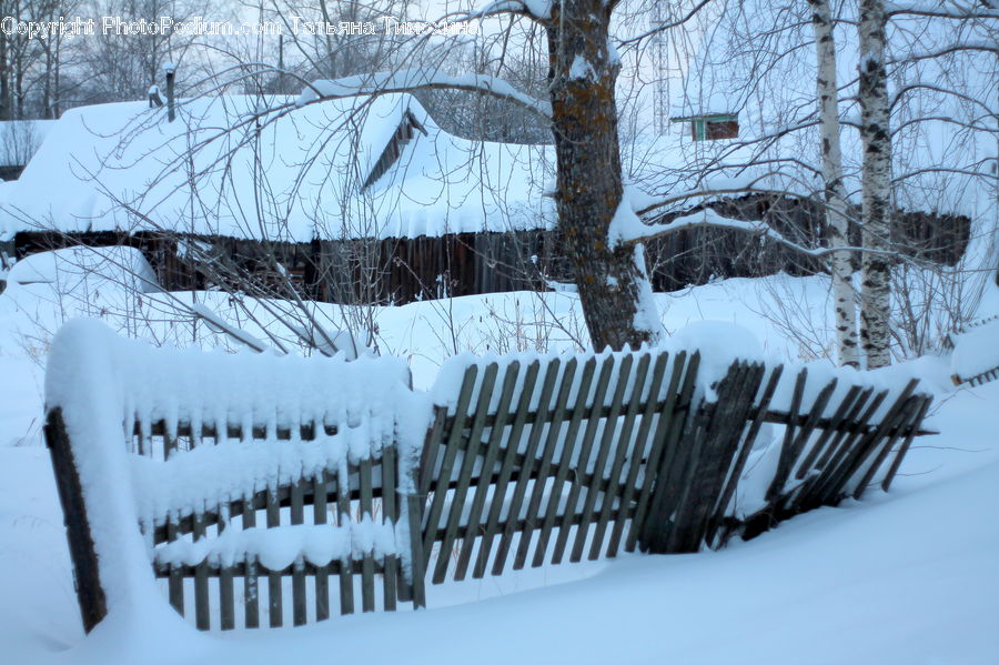 Ice, Outdoors, Snow, Blizzard, Weather, Winter, Plant