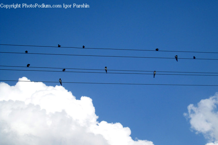 Cable, Electric Transmission Tower, Power Lines, Azure Sky, Cloud, Outdoors, Sky