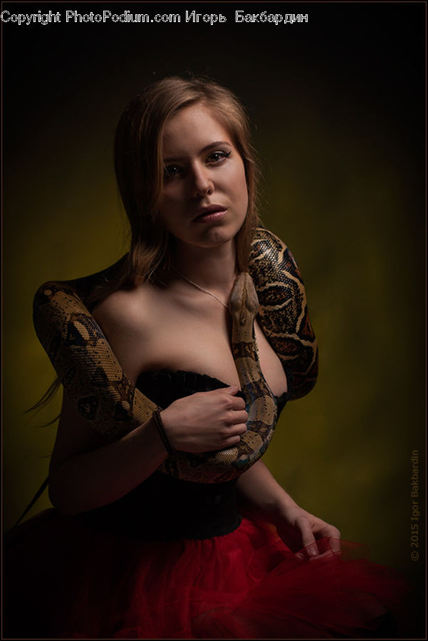People, Person, Human, Bra, Lingerie, Underwear, Female
