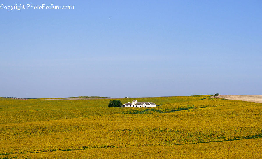 Field, Grass, Grassland, Land, Outdoors, Countryside, Plant