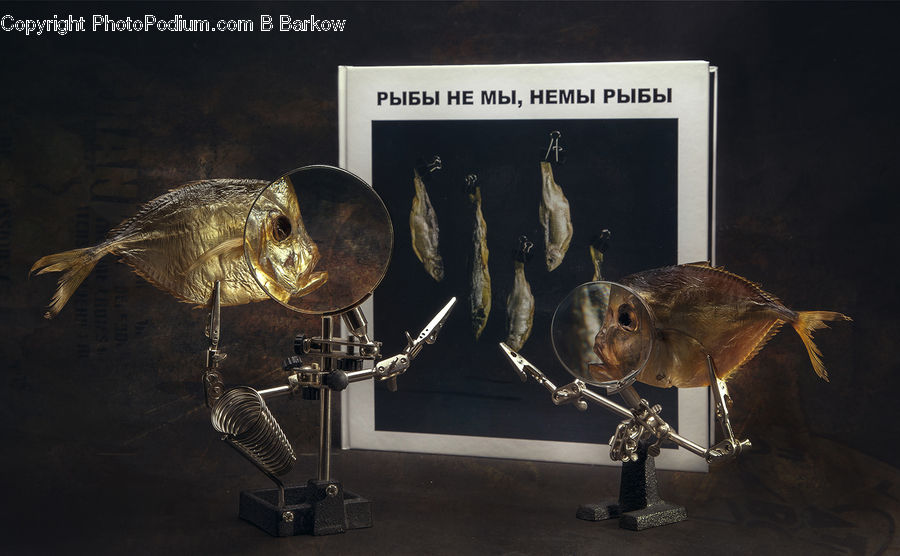 Trophy, Fish, Pike, Sea Life, Anubis
