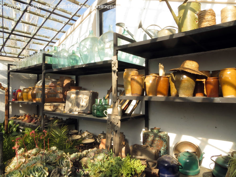Food Court, Pot, Pottery, Food, Seafood, Appliance, Shop