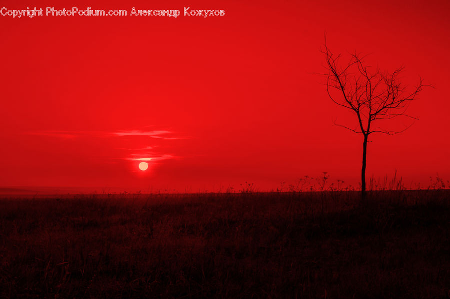 Dawn, Dusk, Red Sky, Sky, Sunrise, Sunset, Field