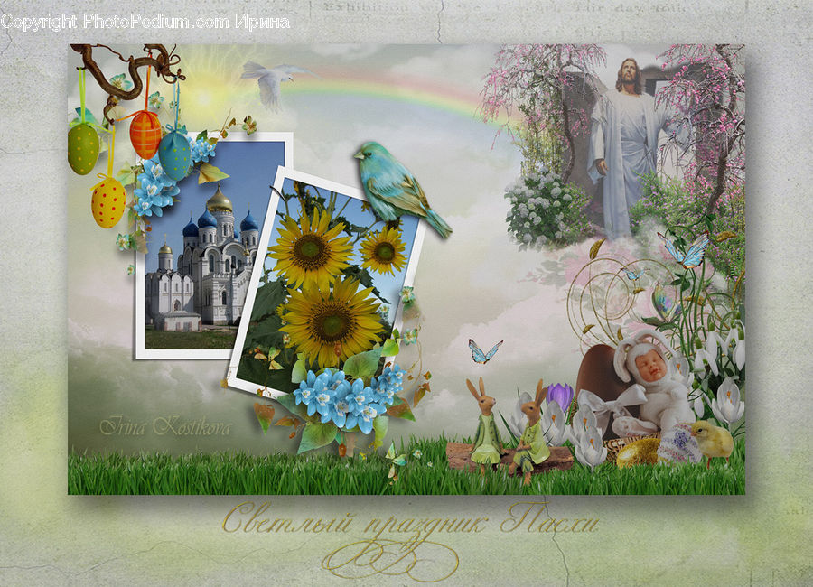Art, Collage, Poster, Plant, Potted Plant, Flower, Flower Arrangement