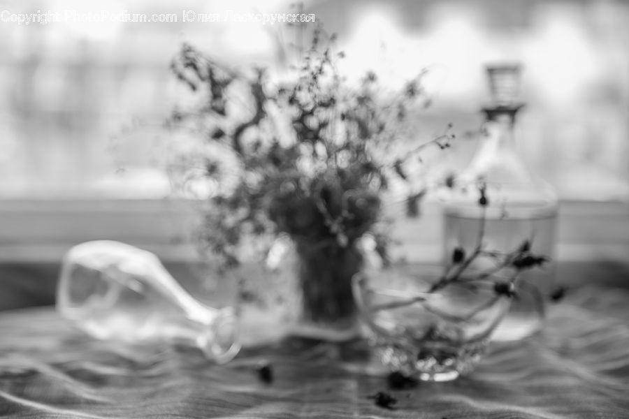 Smoke, Water, Outdoors, Conifer, Fir, Plant, Tree
